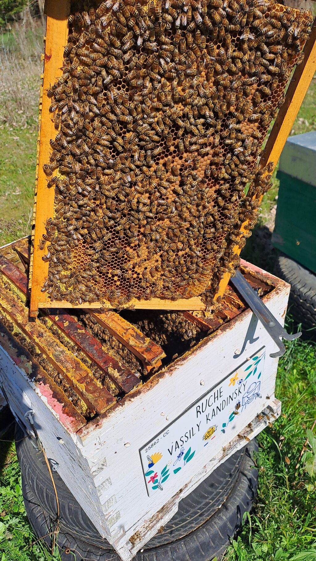 La ruche Vassily Kandinsky