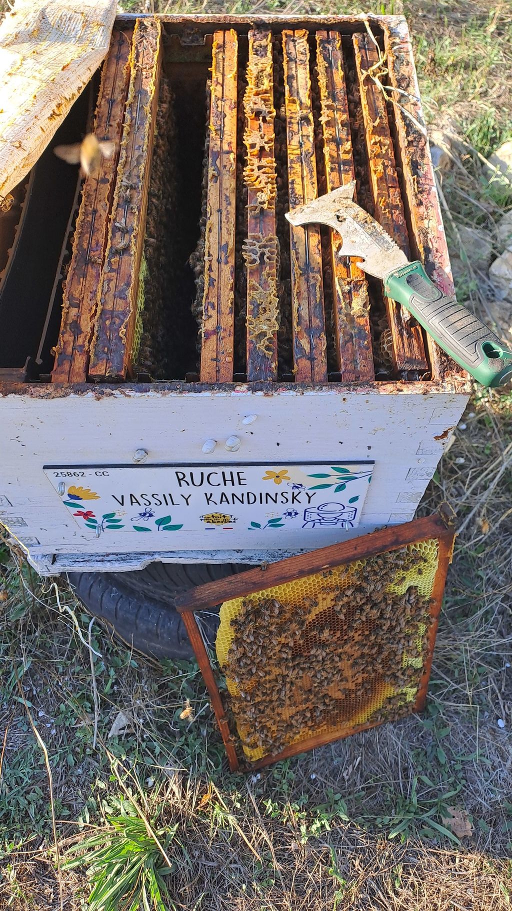 La ruche Vassily Kandinsky