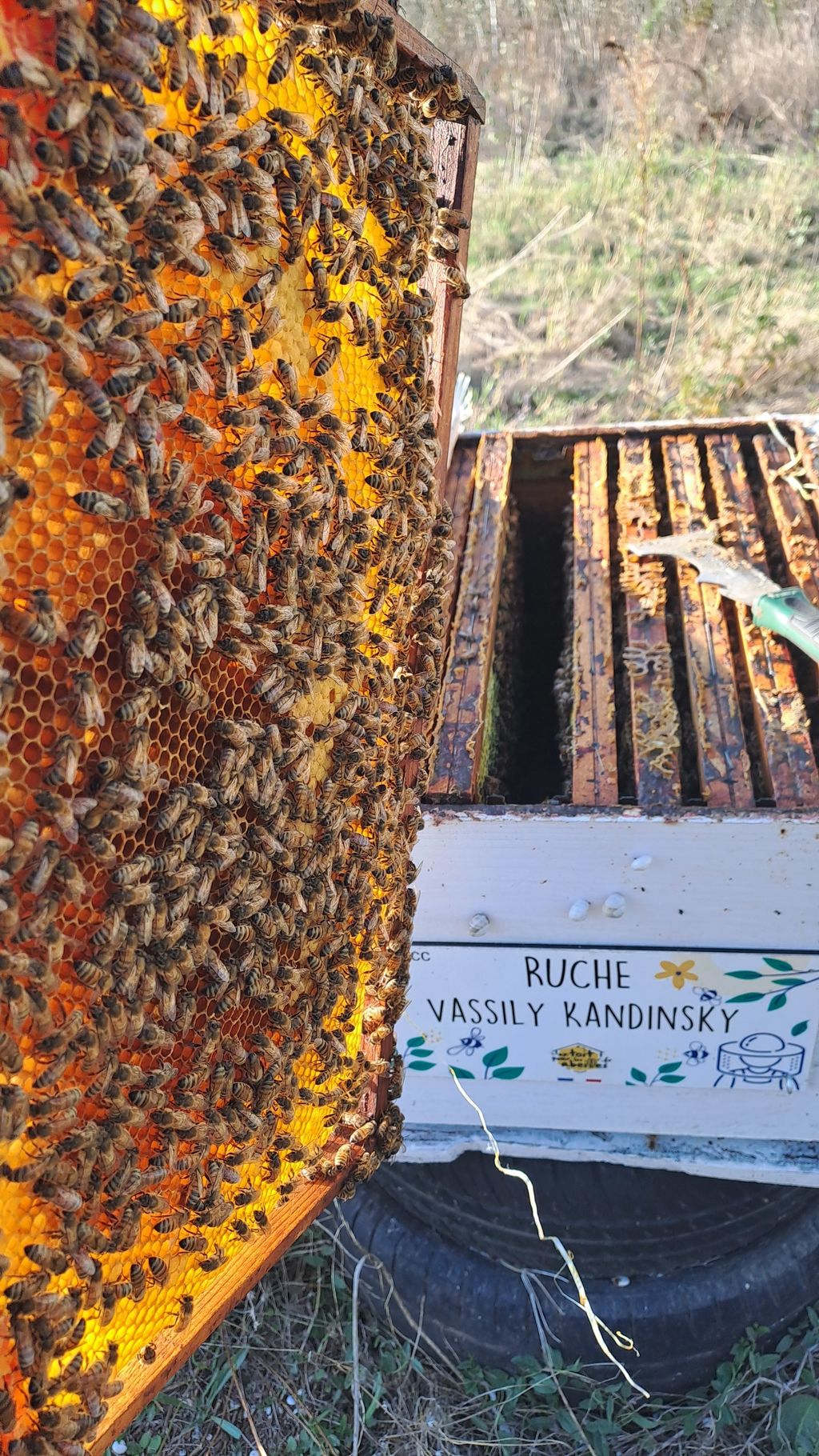 La ruche Vassily Kandinsky