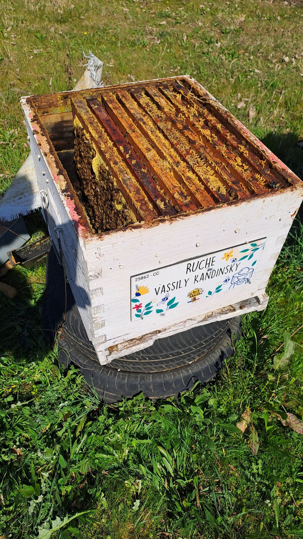 La ruche Vassily Kandinsky