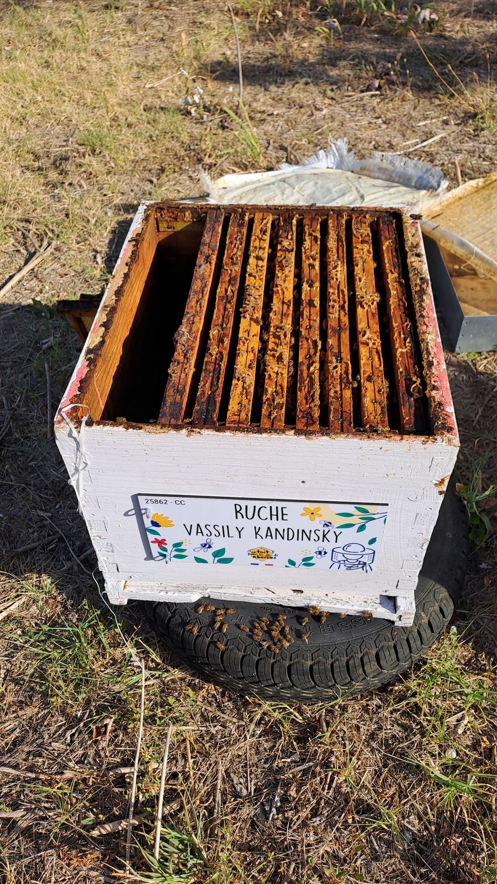 La ruche