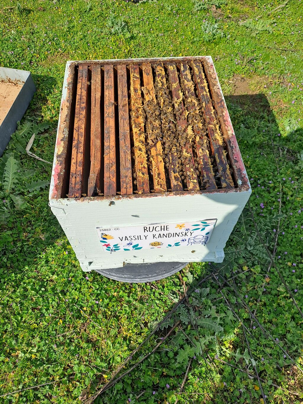 La ruche Vassily Kandinsky