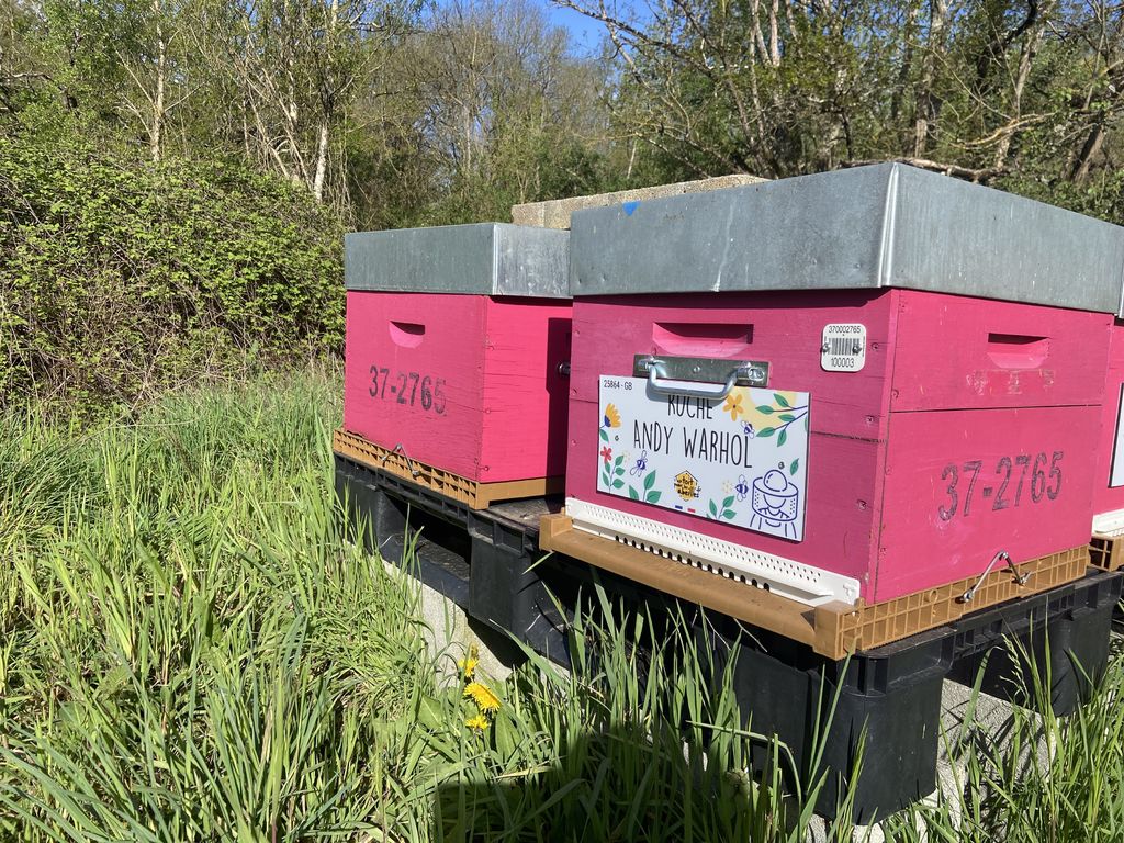 La ruche Andy Warhol