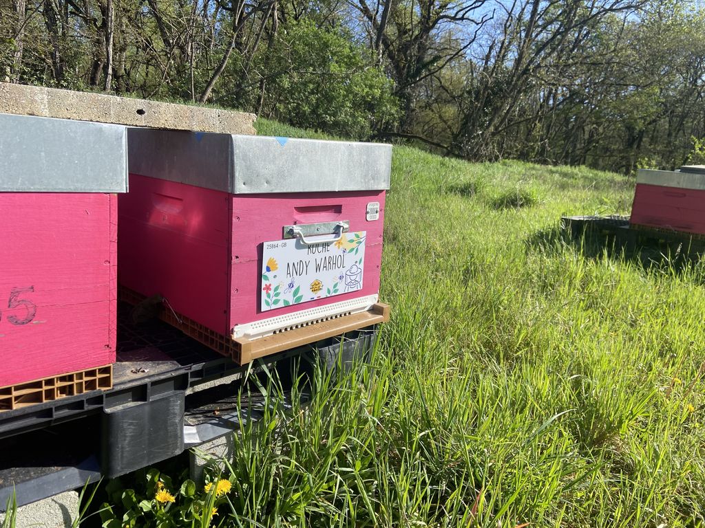 La ruche Andy Warhol