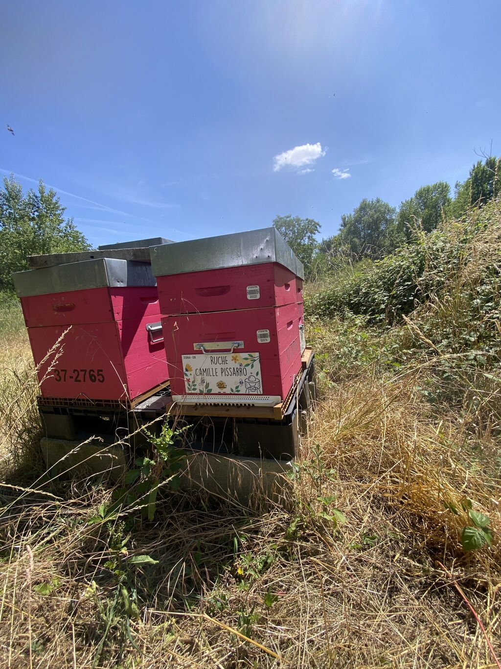 La ruche Camille Pissarro