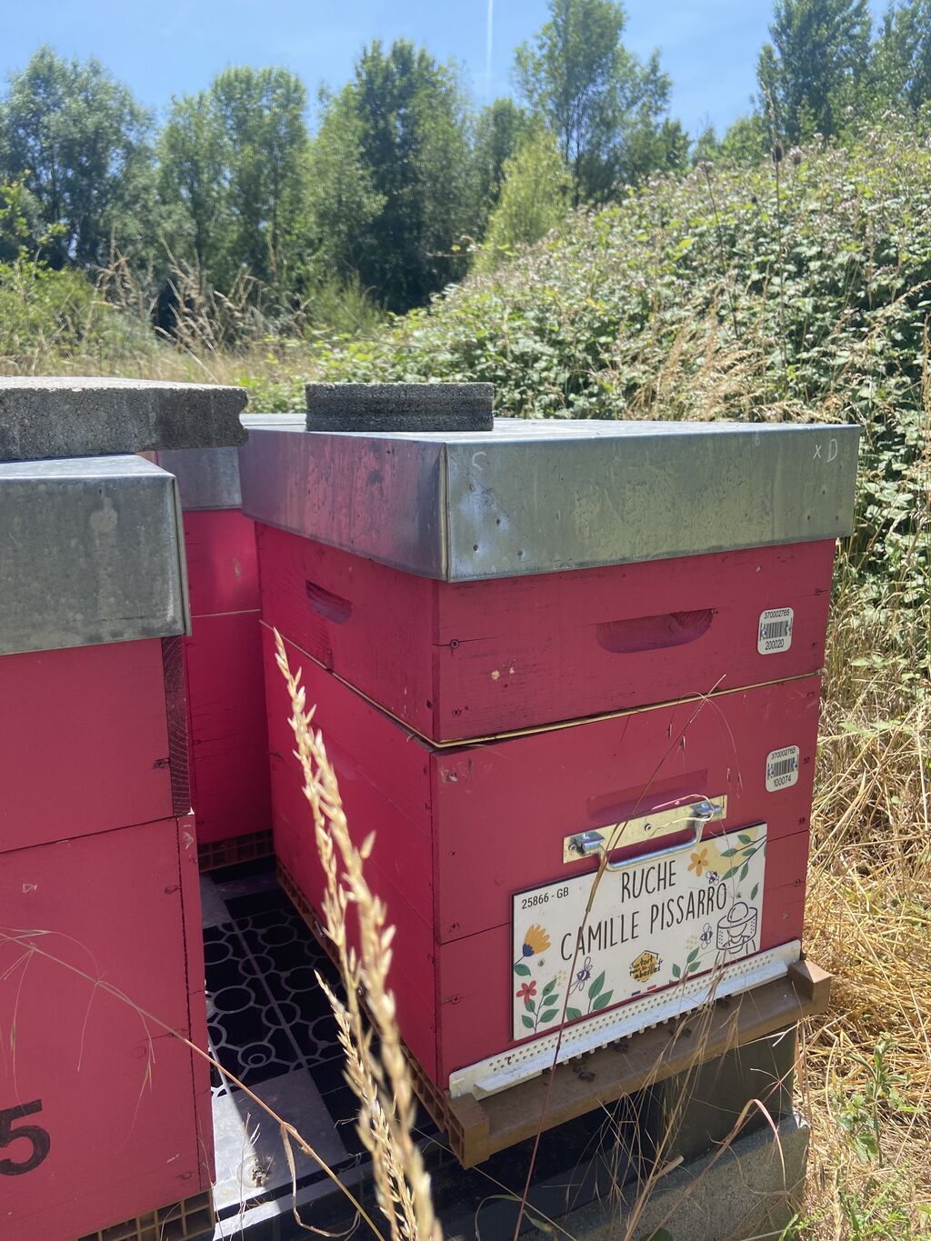 La ruche Camille Pissarro
