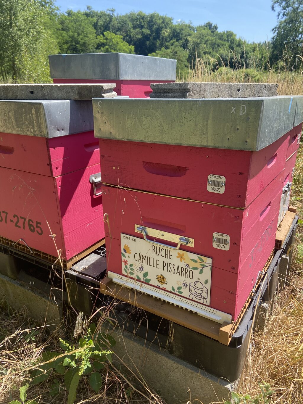 La ruche Camille Pissarro