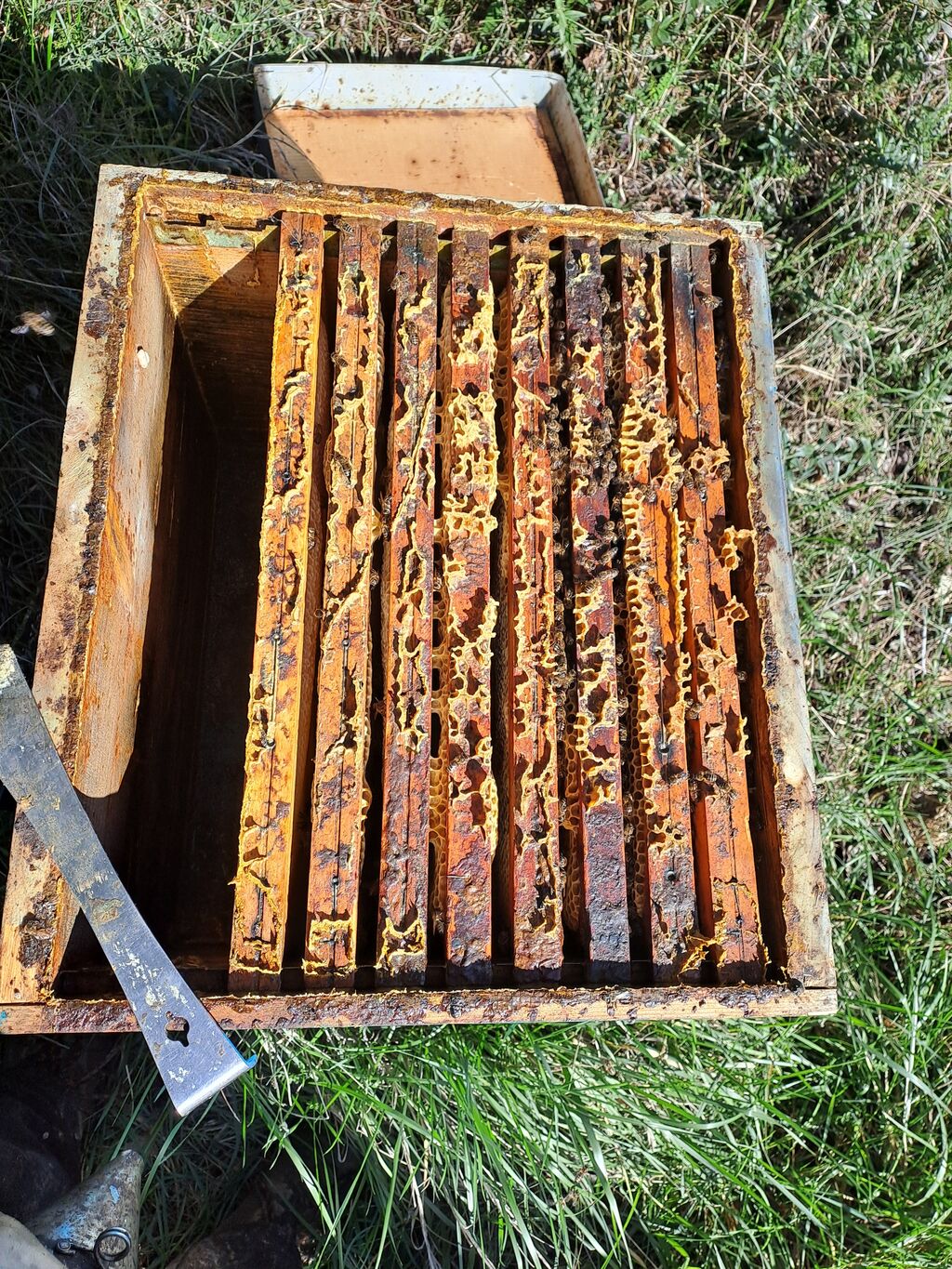 La ruche Piet Mondrian