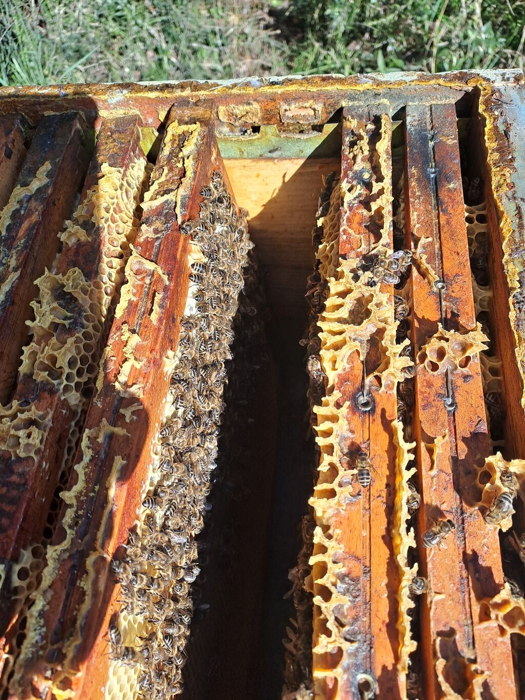 La ruche Piet Mondrian