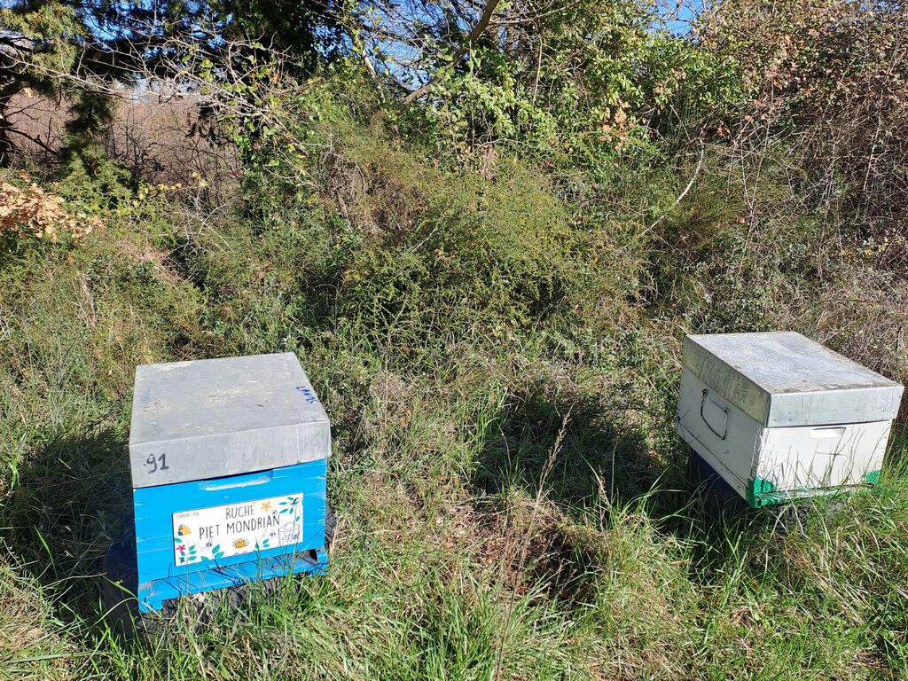 La ruche Piet Mondrian