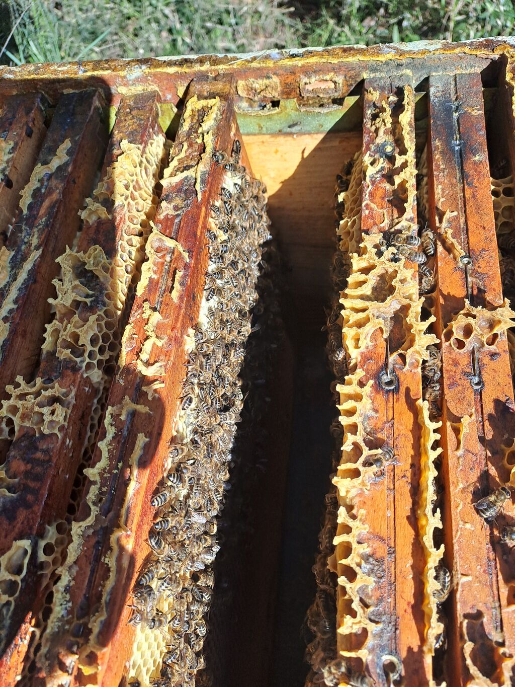 La ruche Piet Mondrian