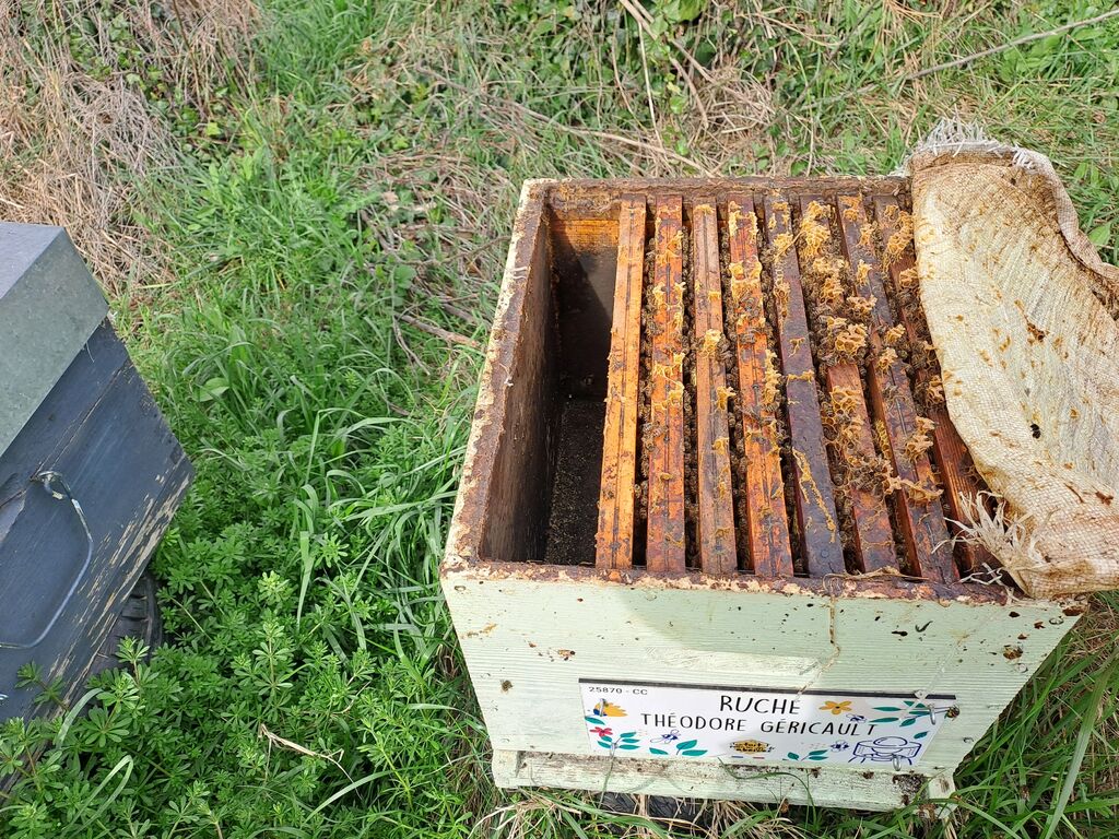 La ruche Théodore Géricault