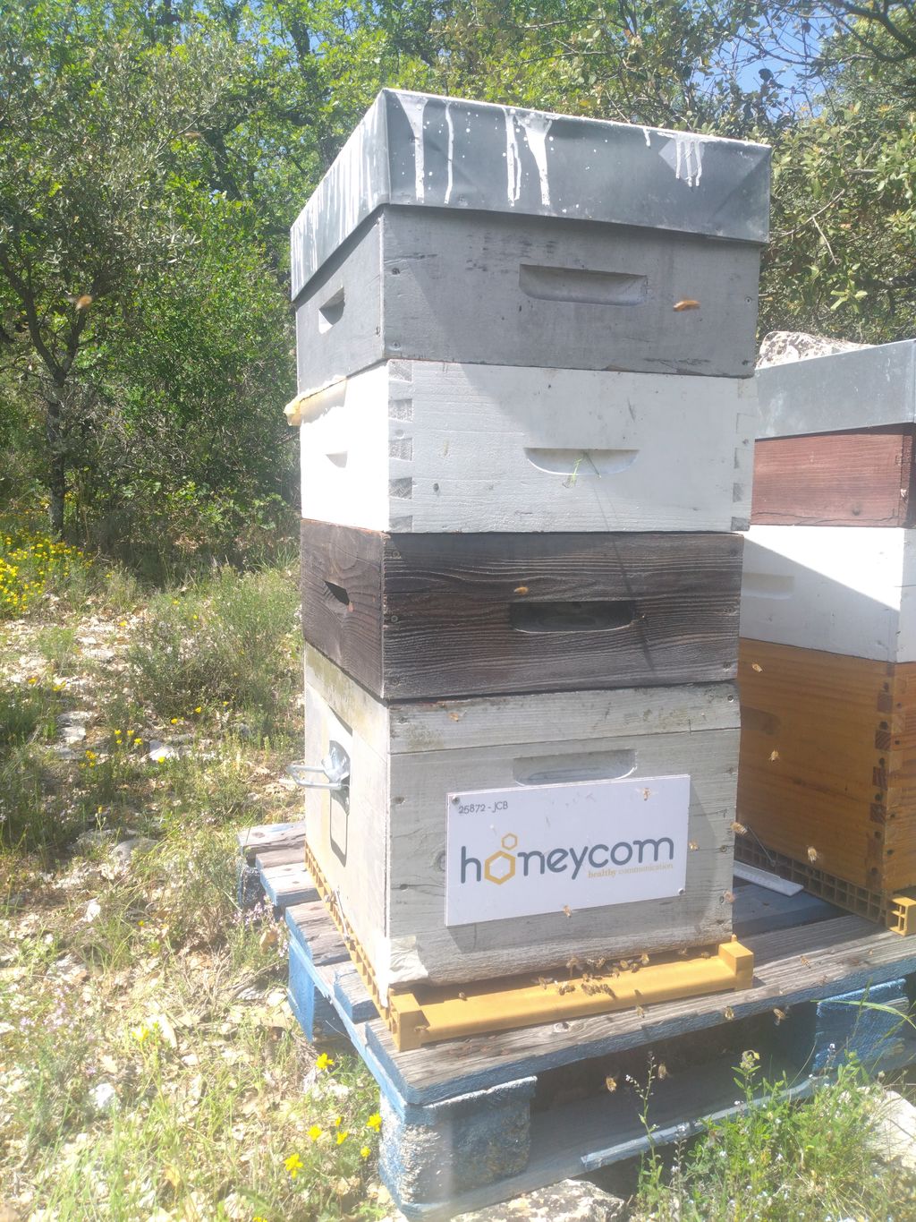 La ruche HONEYCOM