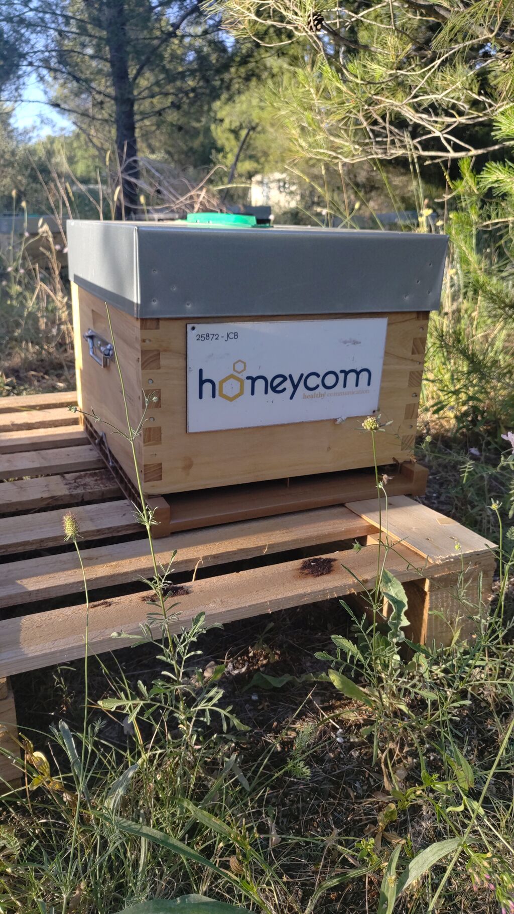 La ruche HONEYCOM