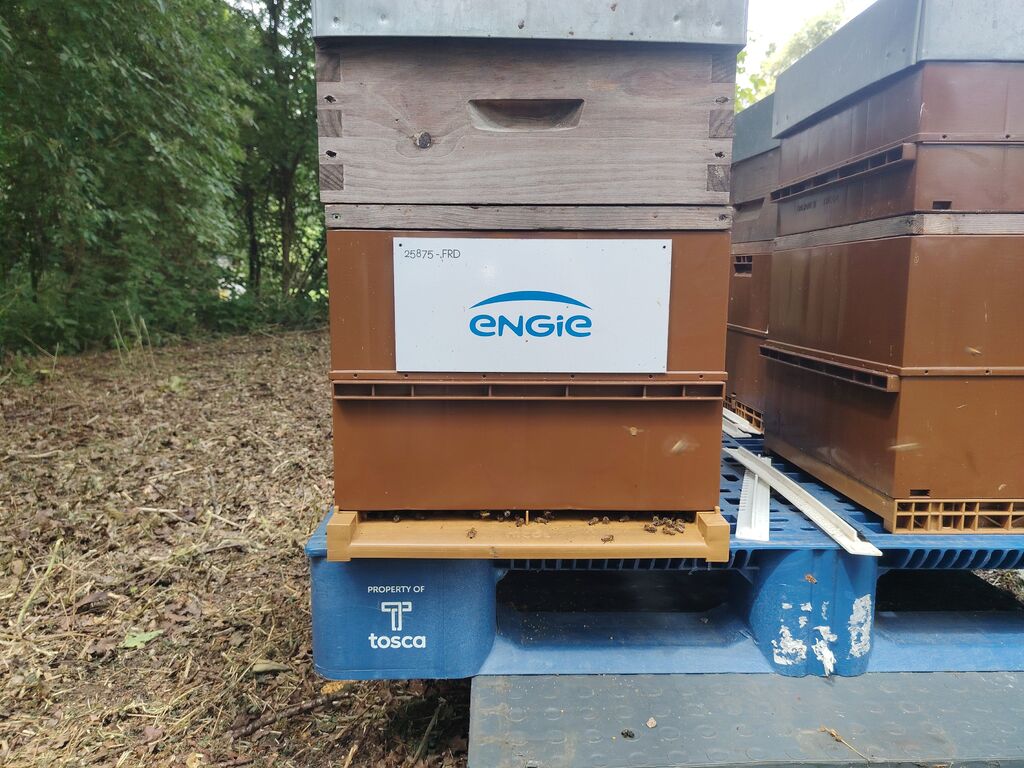 La ruche ENGIE - MPPA