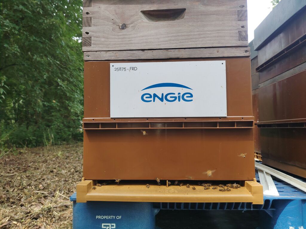 La ruche ENGIE - MPPA