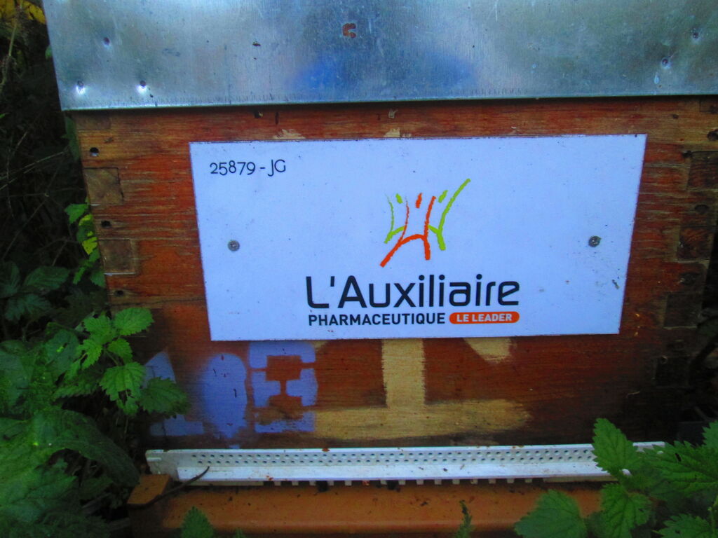 La ruche AUXILIAIRE PHARMACEUTIQUE