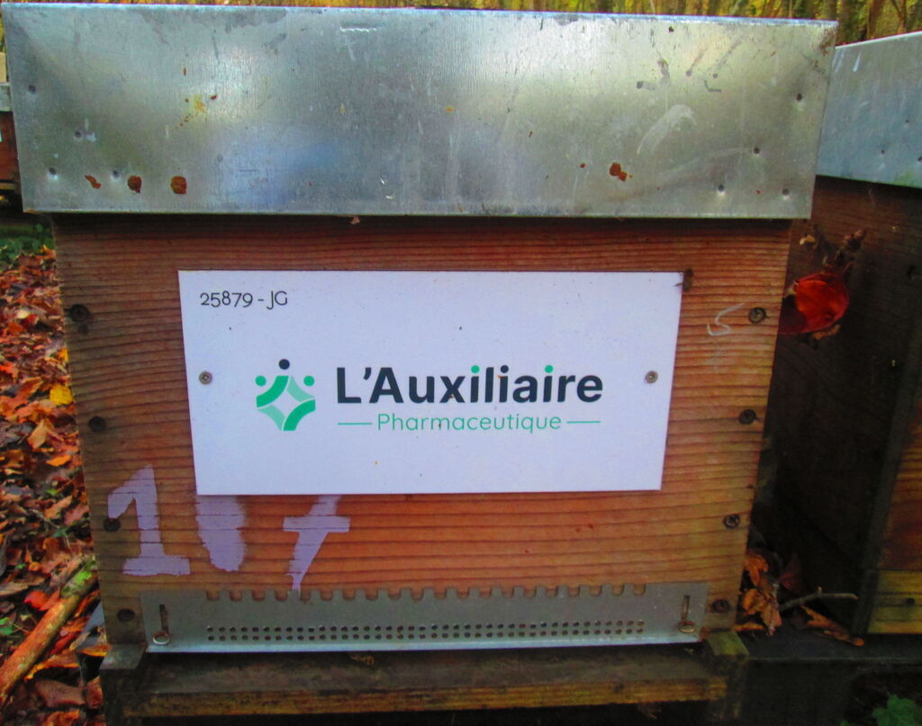 La ruche AUXILIAIRE PHARMACEUTIQUE