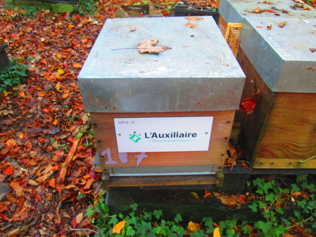 La ruche AUXILIAIRE PHARMACEUTIQUE
