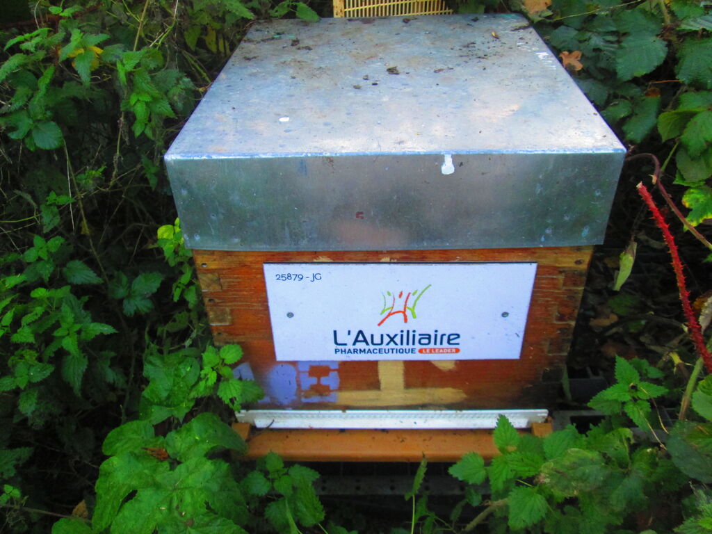 La ruche AUXILIAIRE PHARMACEUTIQUE