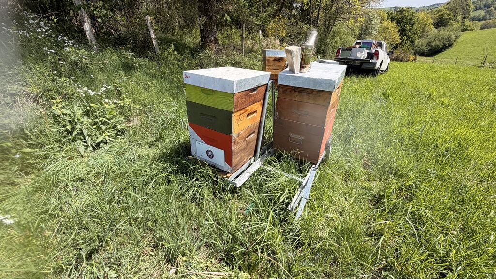 La ruche Camping La Blaquière