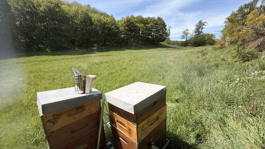 La ruche Camping La Blaquière