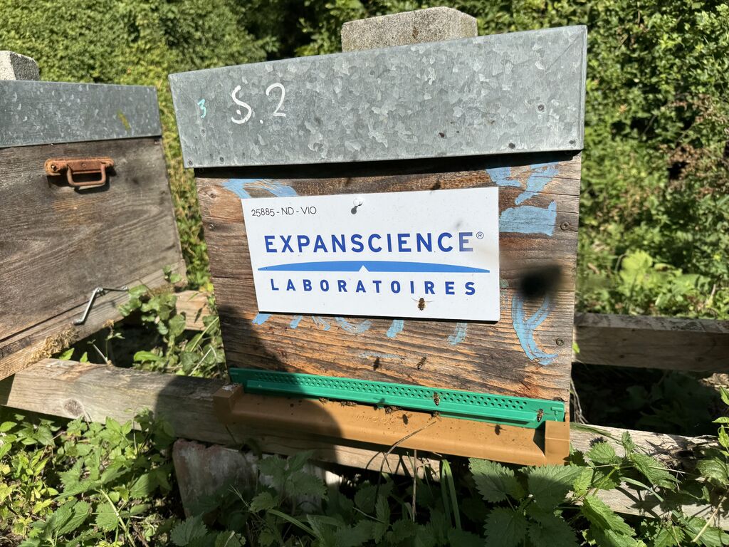 La ruche Laboratoires Expanscience