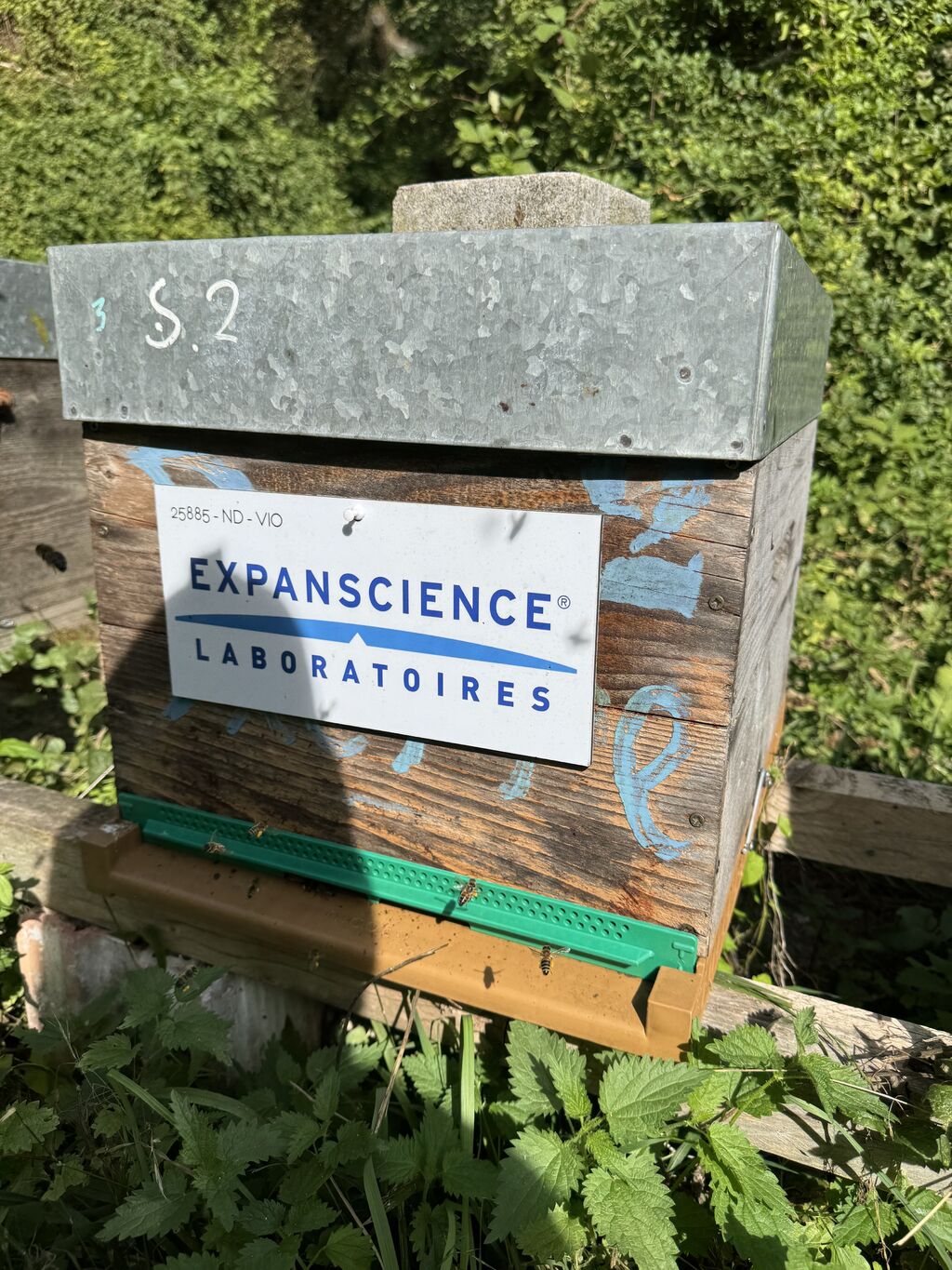 La ruche Laboratoires Expanscience