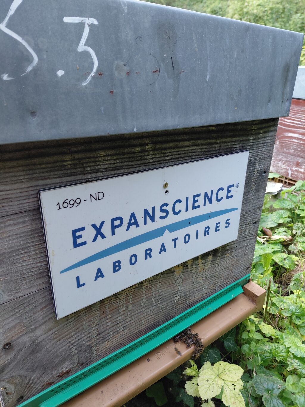La ruche Laboratoires Expanscience