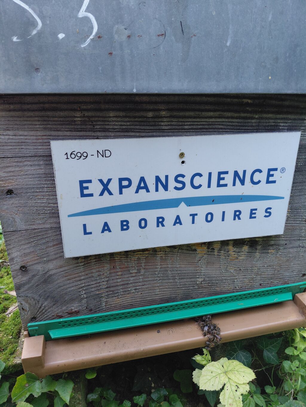 La ruche Laboratoires Expanscience