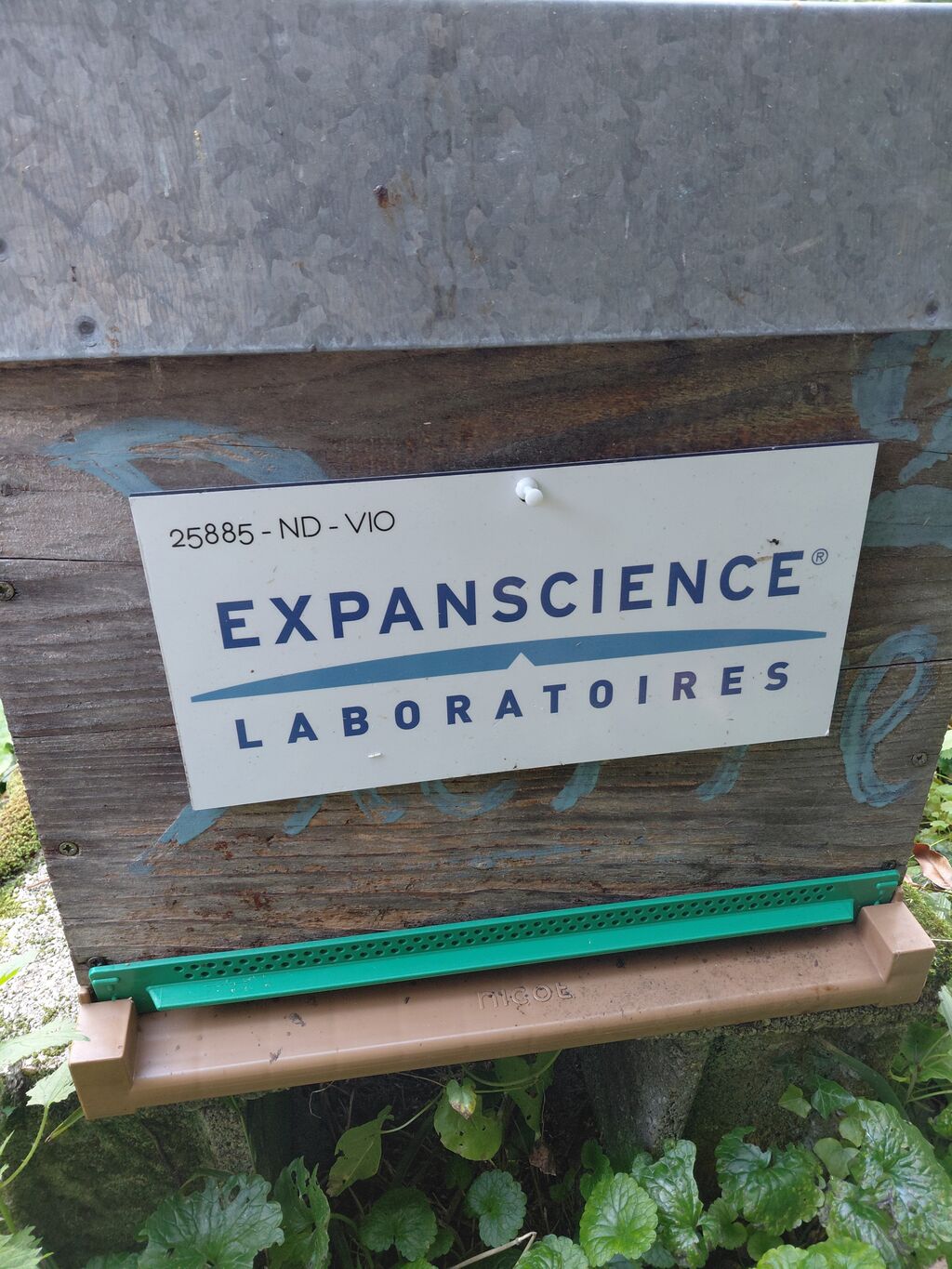 La ruche Laboratoires Expanscience