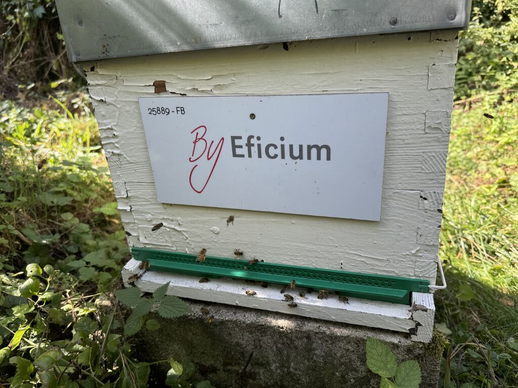 La ruche Eficium Azur