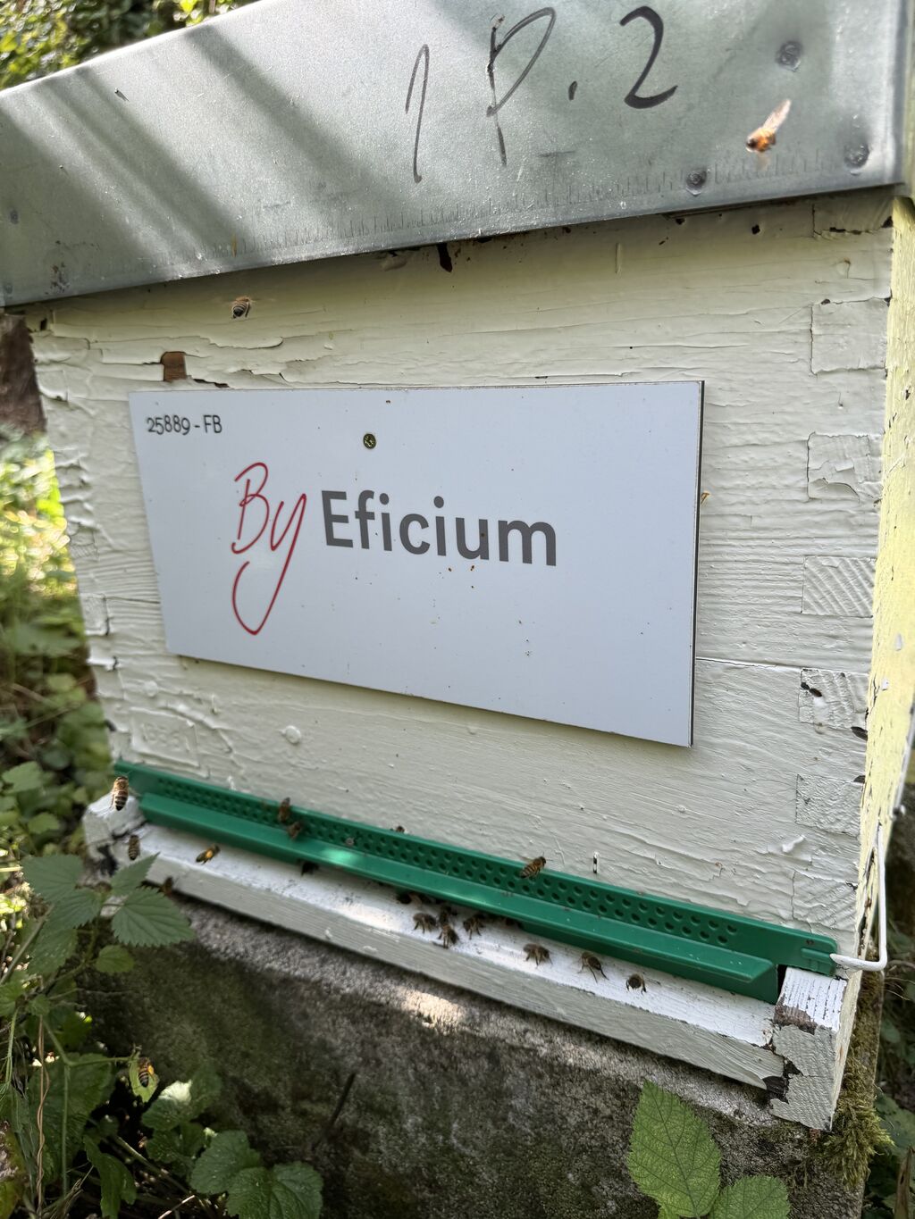La ruche Eficium Azur