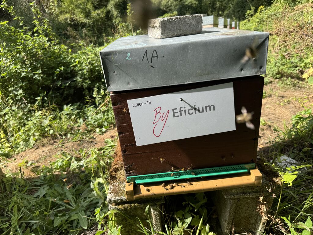 La ruche Eficium Azur