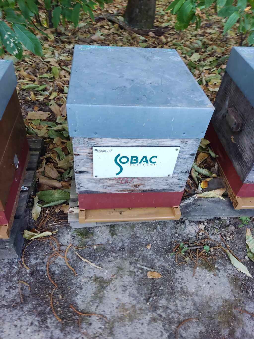 La ruche SOBAC CLOISONS