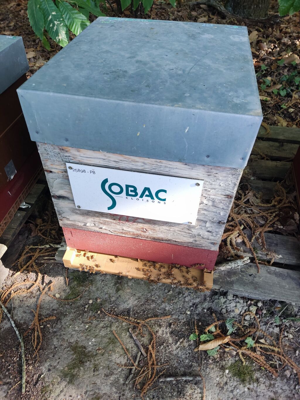 La ruche SOBAC CLOISONS 
