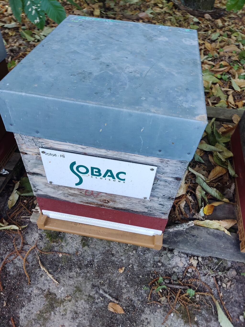 La ruche SOBAC CLOISONS