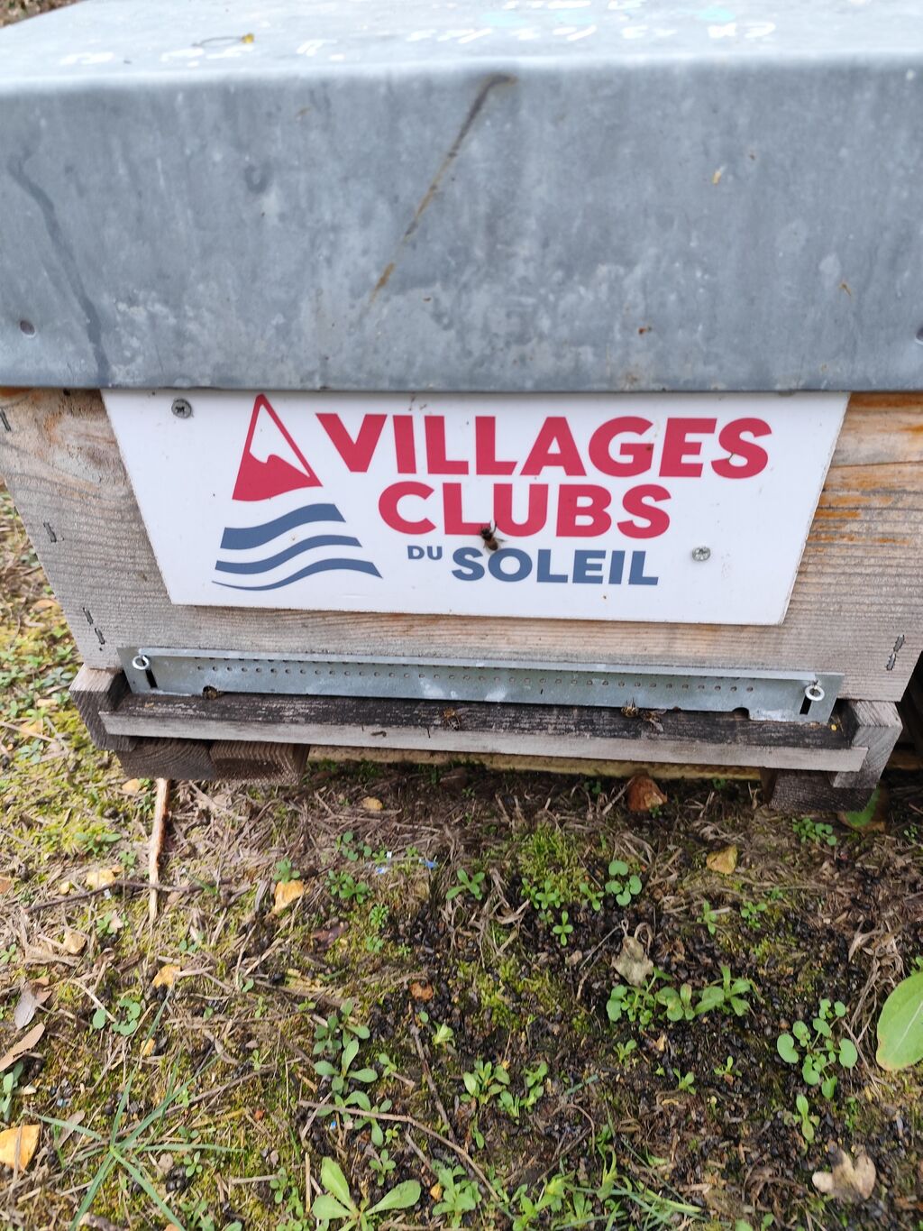 La ruche VILLAGES CLUBS DU SOLEIL VARS