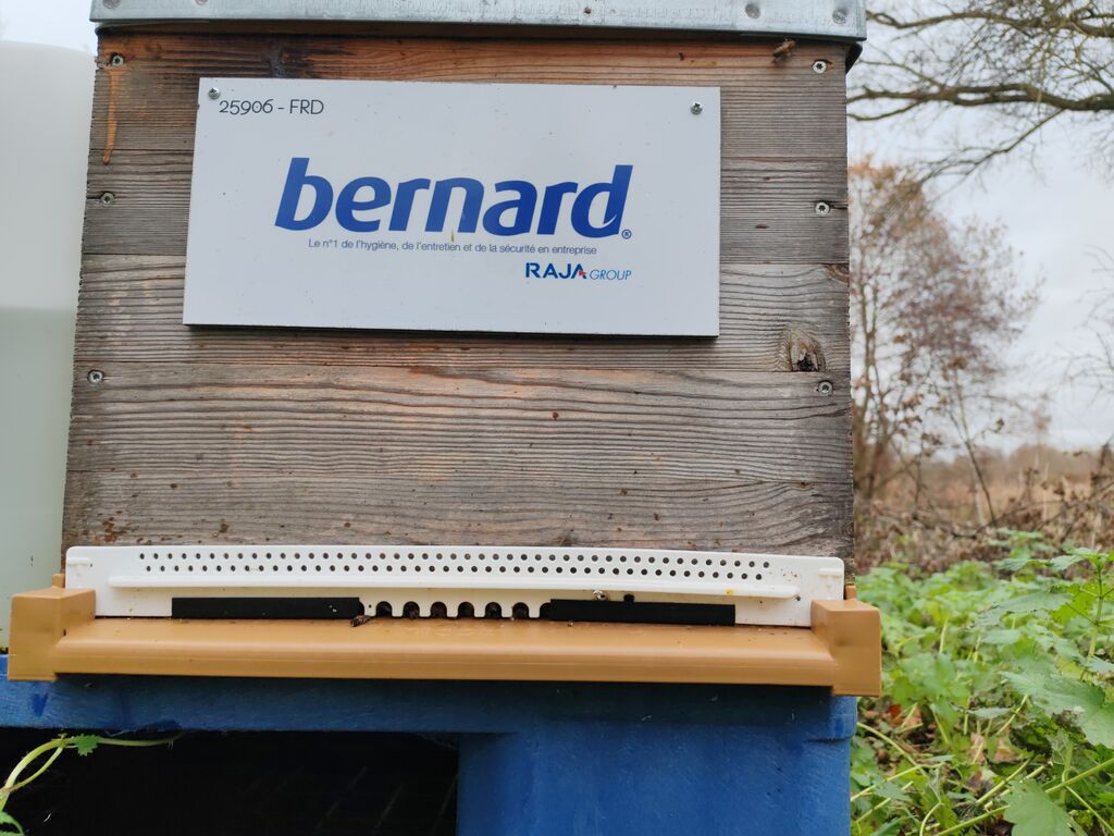 La ruche BERNARD SA