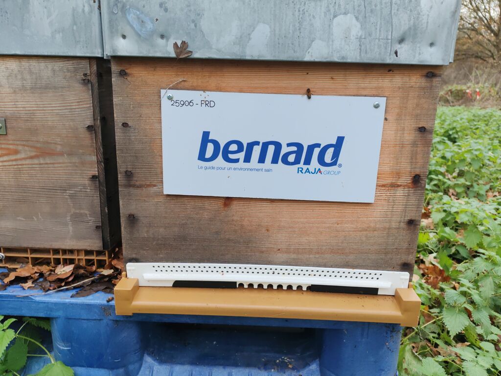 La ruche BERNARD SA