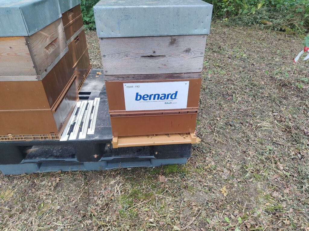 La ruche BERNARD SA
