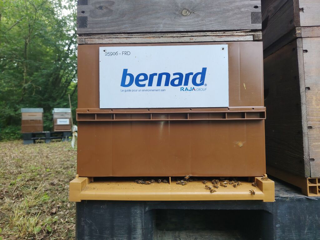 La ruche BERNARD SA