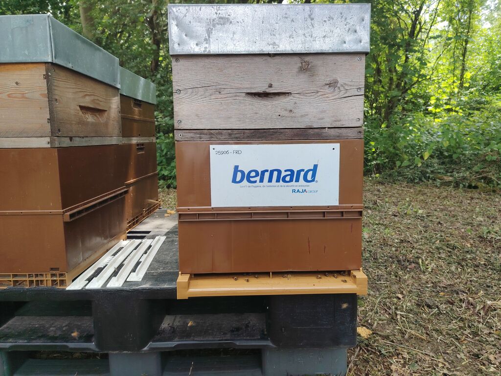 La ruche BERNARD SA