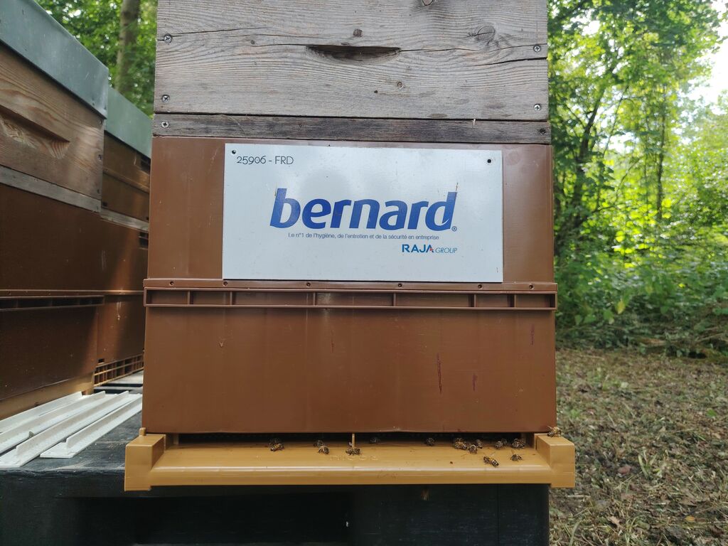 La ruche BERNARD SA