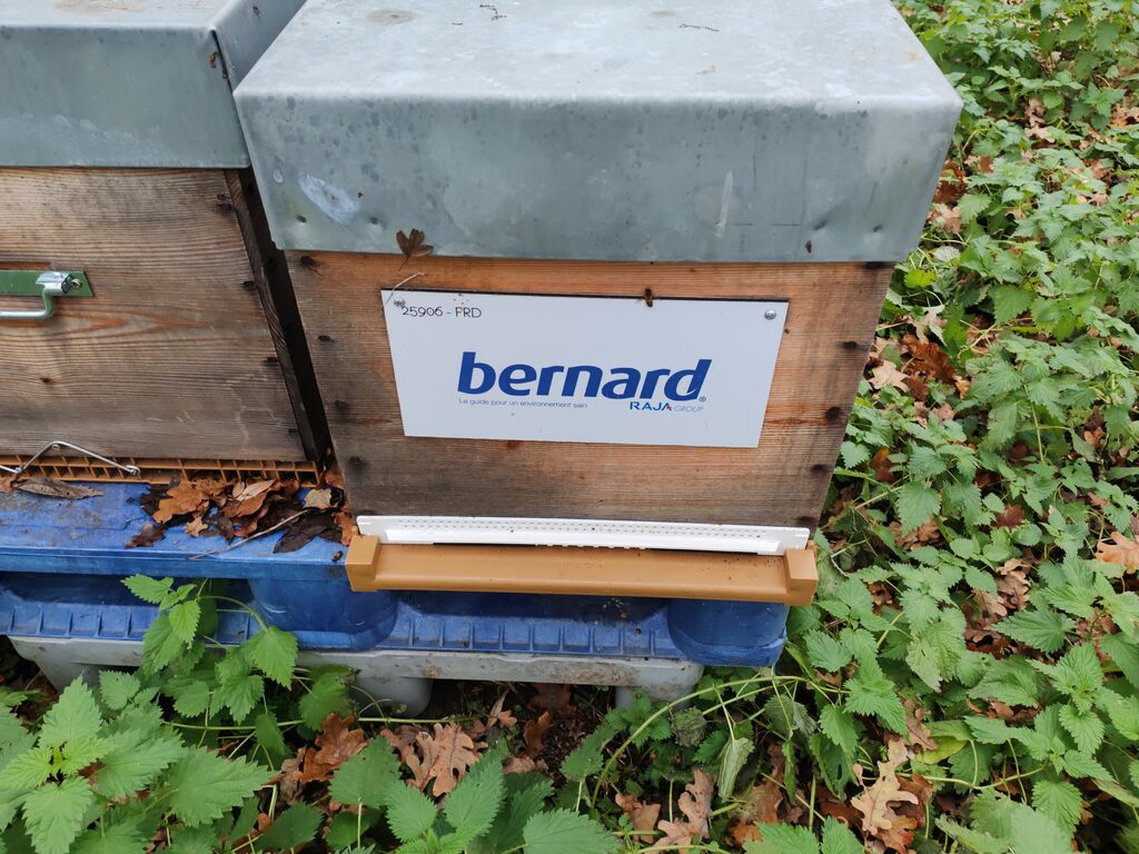 La ruche BERNARD SA
