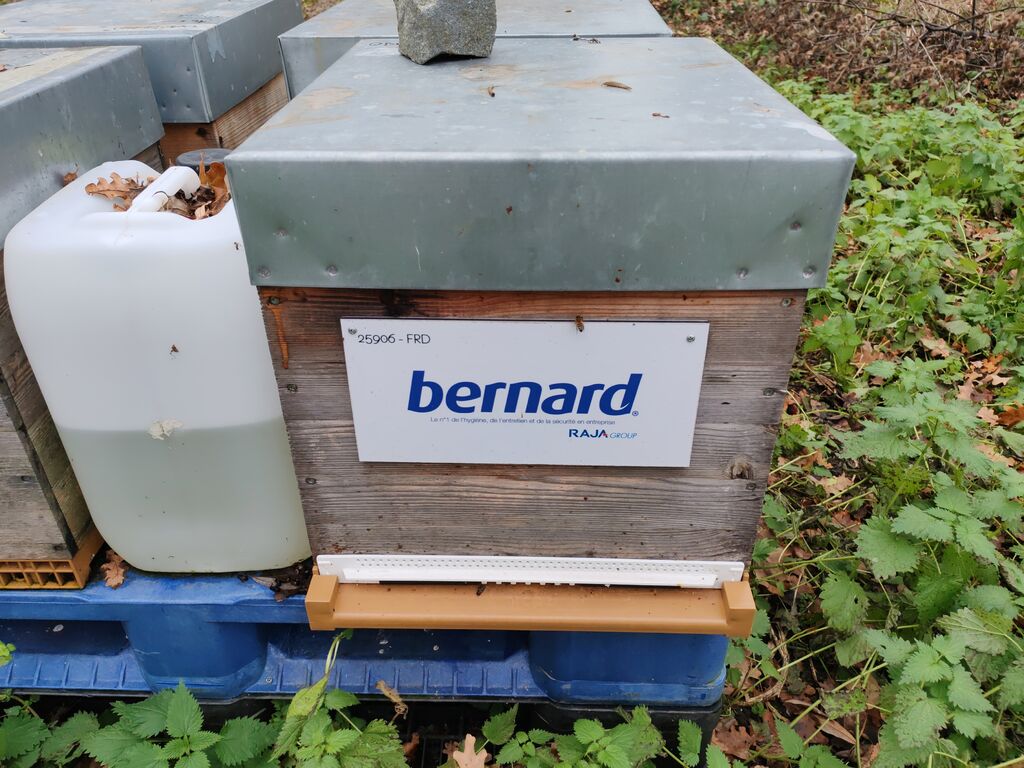 La ruche BERNARD SA