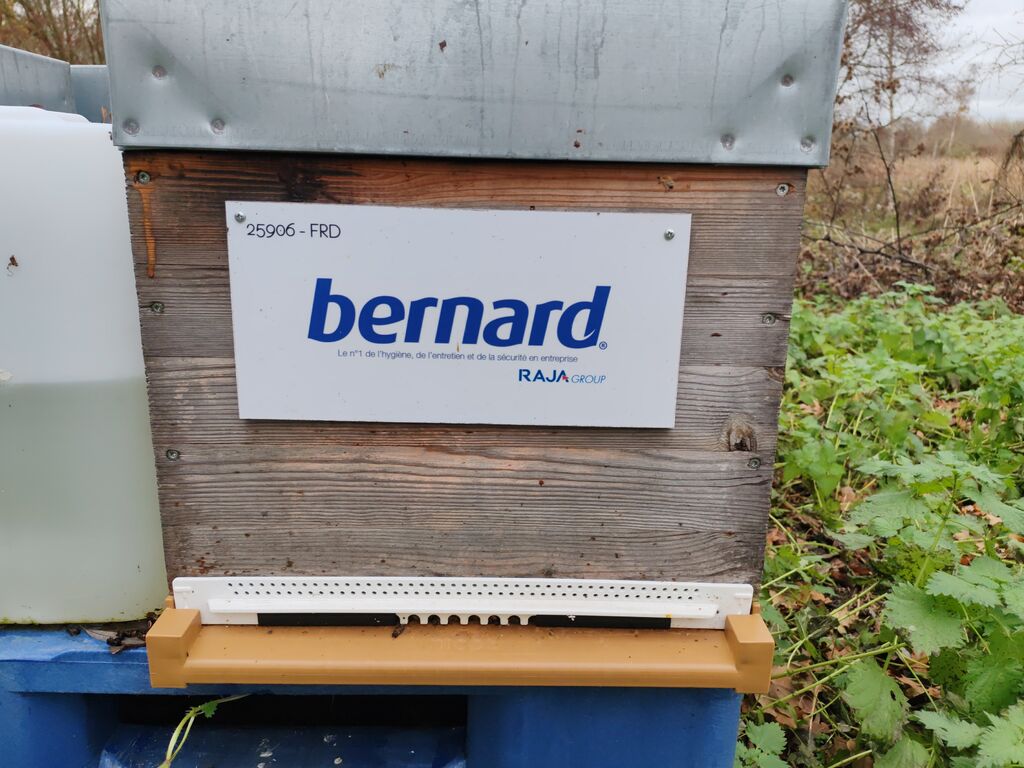 La ruche BERNARD SA