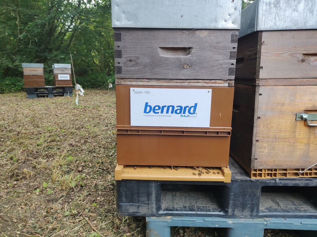 La ruche BERNARD SA