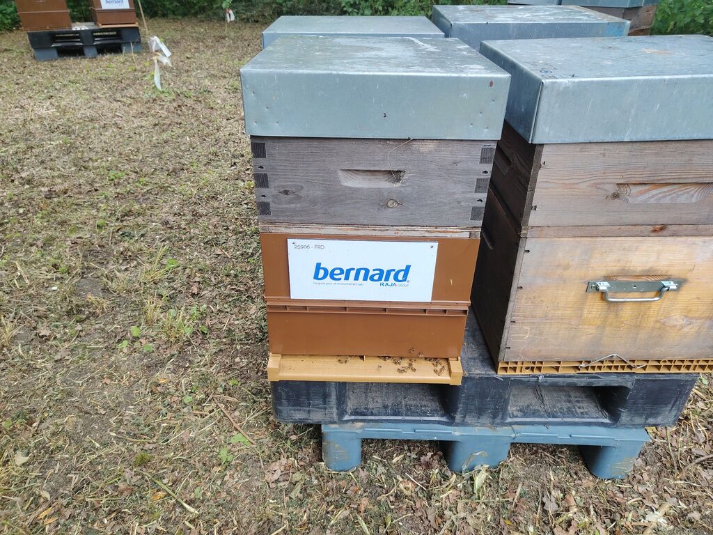La ruche BERNARD SA