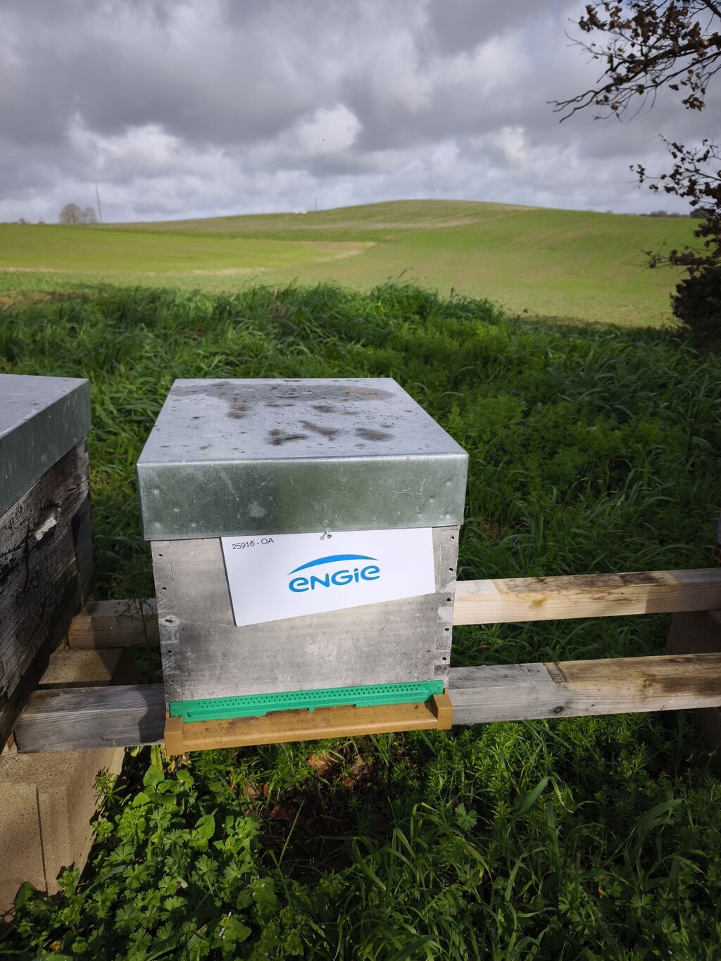 La ruche ENGIE - MPPA